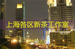 上海花千坊：夜上海最时尚的购物街区，满足你的时尚品味！