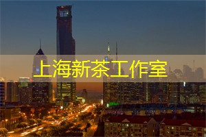 爱上海龙凤419：奢侈品与上海会所的完美结合，让你尽情享受尊贵体验！