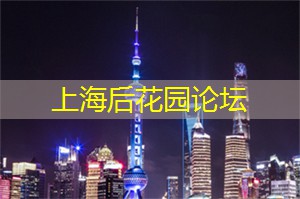 爱上海：希望通过大数据分析和智能算法提供更好的医疗服务